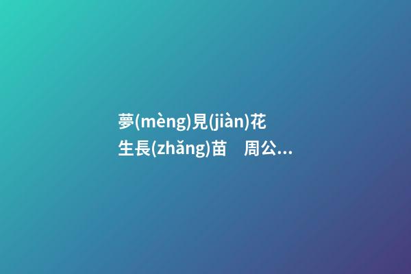 夢(mèng)見(jiàn)花生長(zhǎng)苗　周公解夢(mèng)之夢(mèng)到花生長(zhǎng)苗